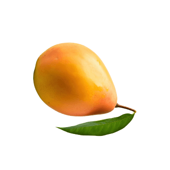 brand-management-image